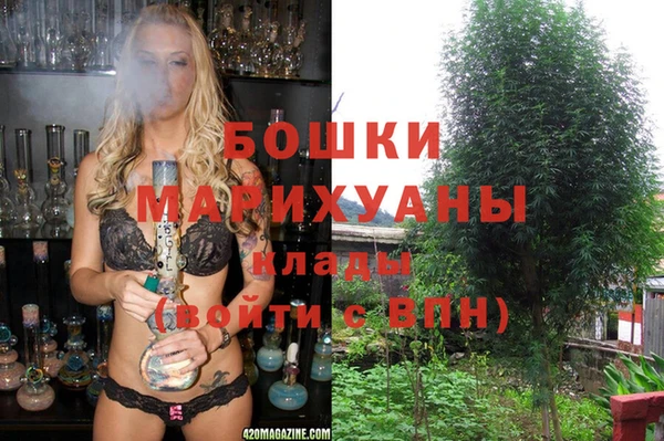 шишки Аркадак