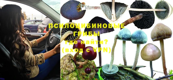 шишки Аркадак