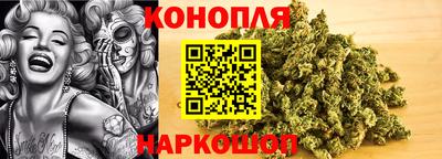 мяу мяу мука Славянск-на-Кубани