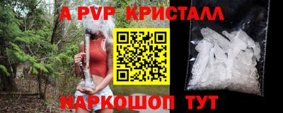 a pvp Сланцы