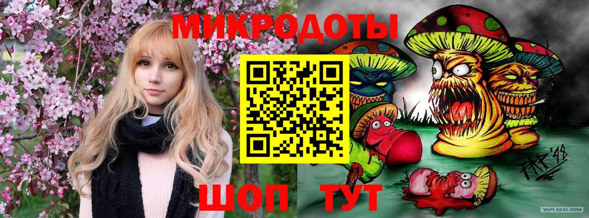 цены наркотик  Вход с VPN  Галлюциногенные грибы Psilocybe  Петропавловск-Камчатский  Галлюциногенные грибы ЛСД 